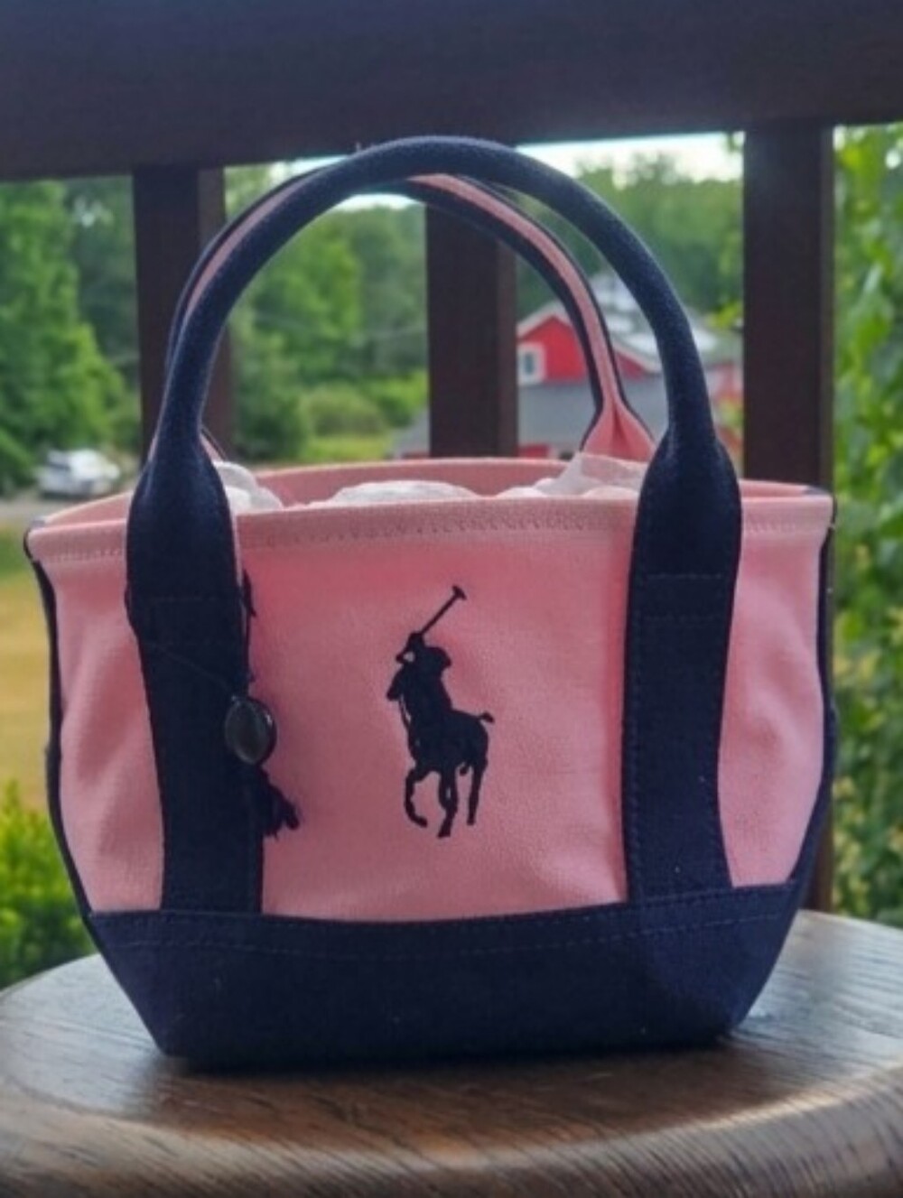 Polo Ralph Lauren Mini Canvas Tote Bag Pink & Navy